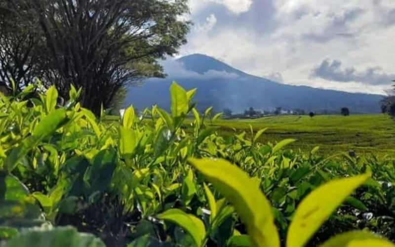 sumber daya alam